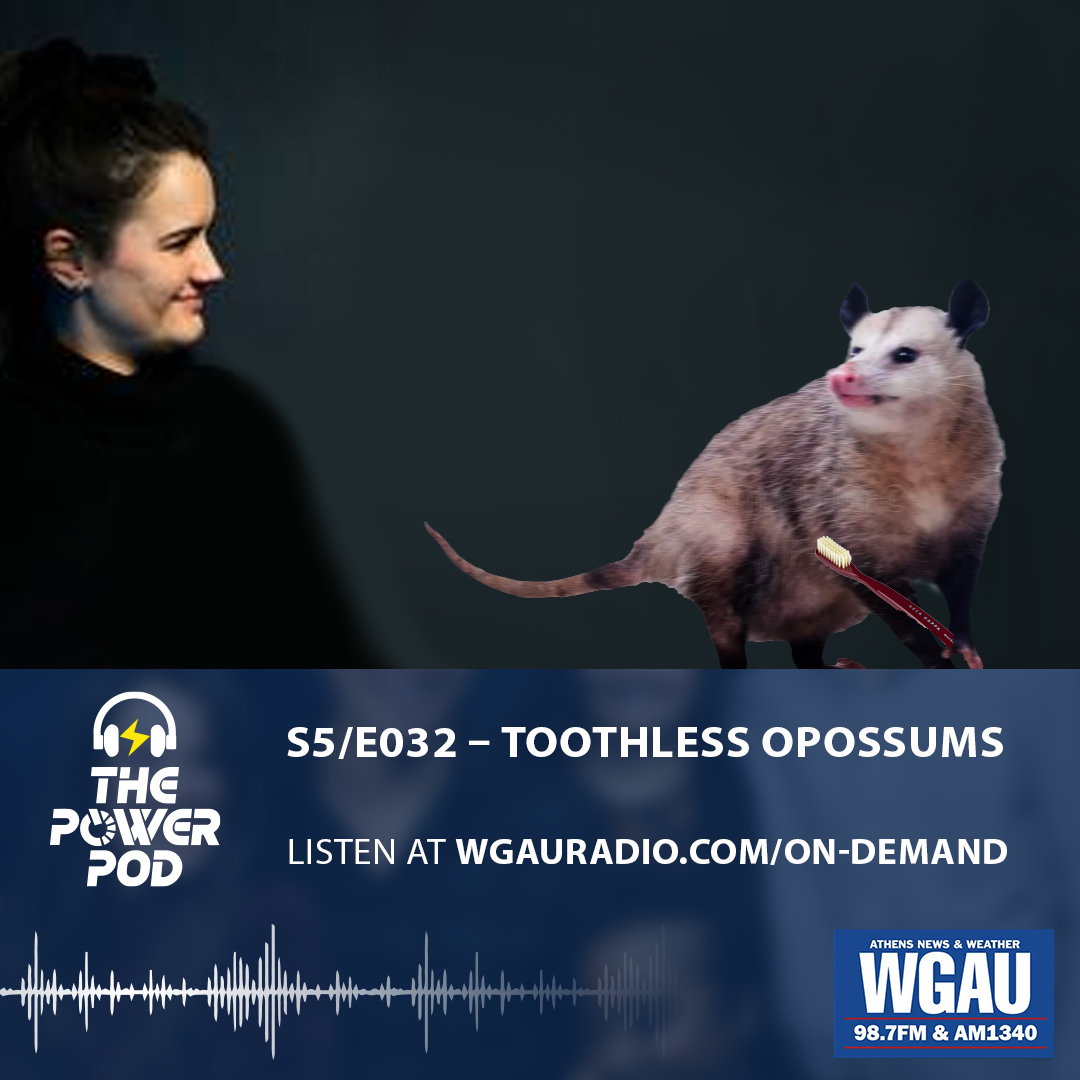 The Power Pod S5/E032 – Toothless Opossums