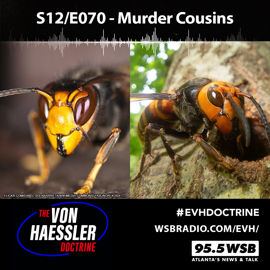 The Von Haessler Doctrine S12/E070 - Murder Cousins