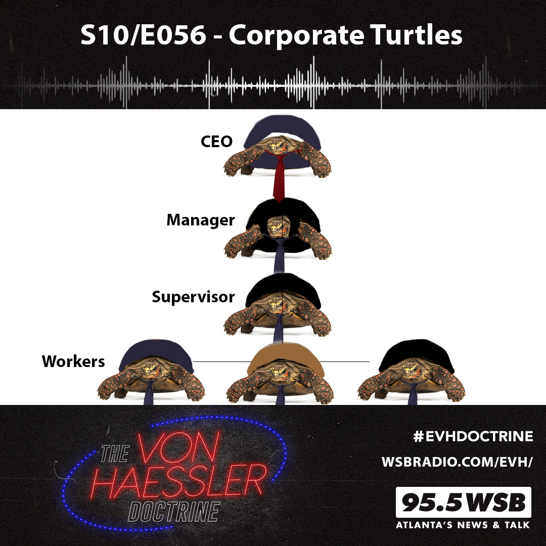 The Von Haessler Doctrine S10/E056 - Corporate Turtles