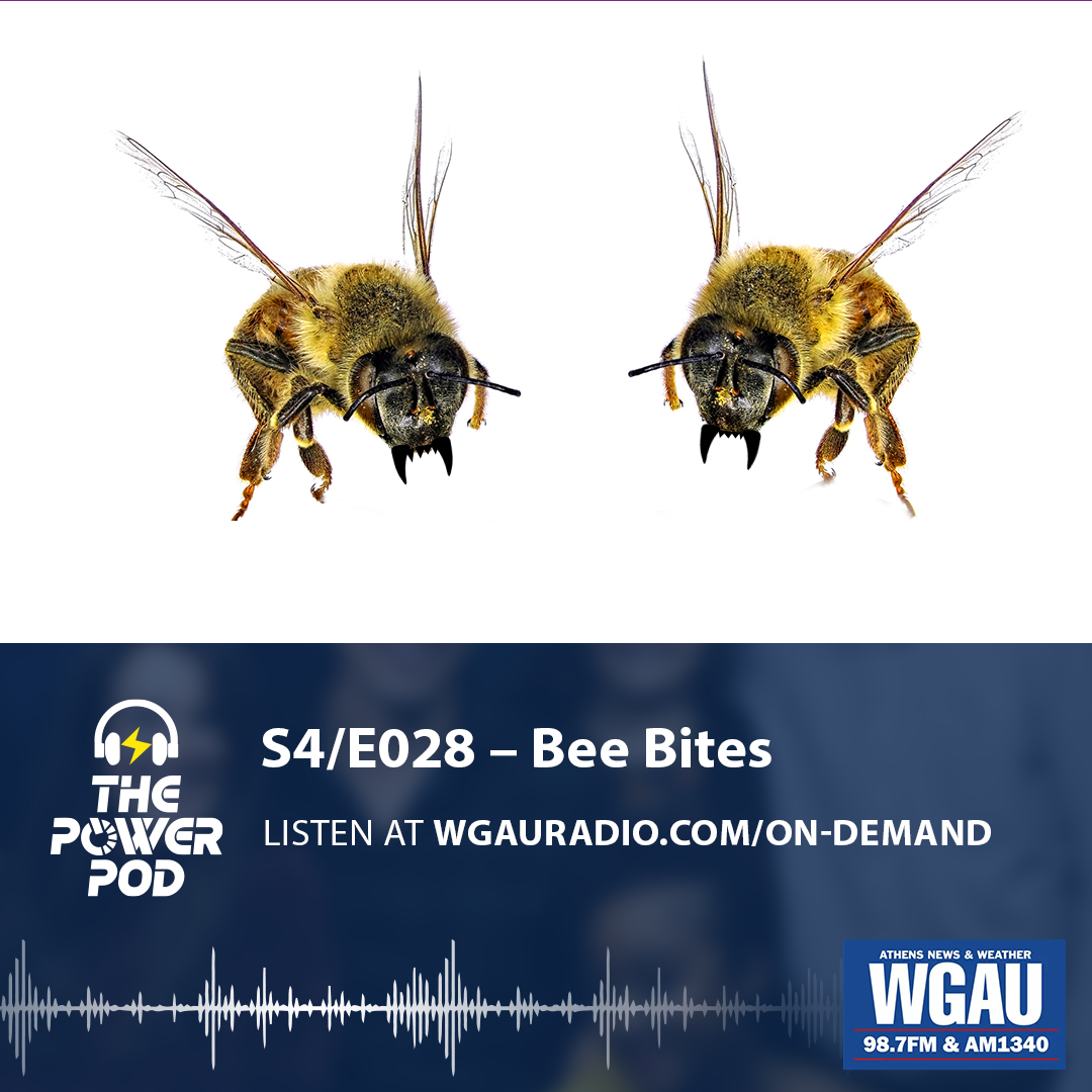 The Power Pod S4/E028 – Bee Bites