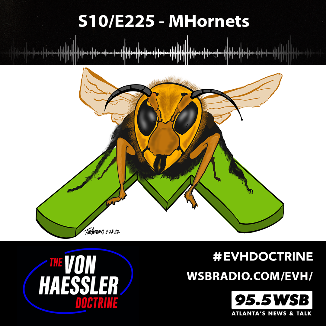 The Von Haessler Doctrine S10/E225 - MHornets